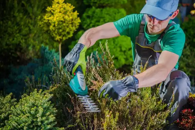 landscaping services McDowell